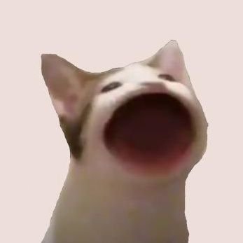 $POPCAT meme