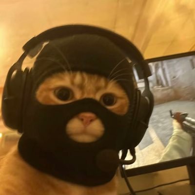 $MASK catwifmask meme